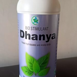 Dhanya